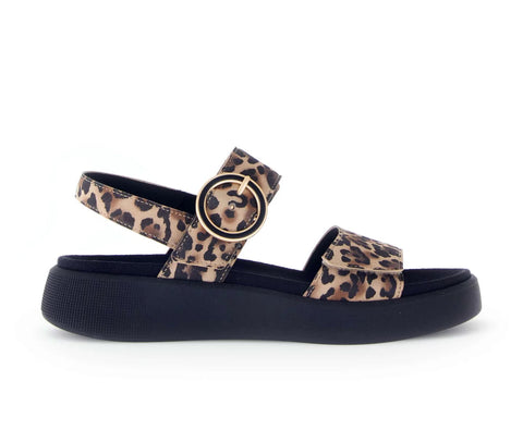 Gabor 62.863.90 Black & Leopard
