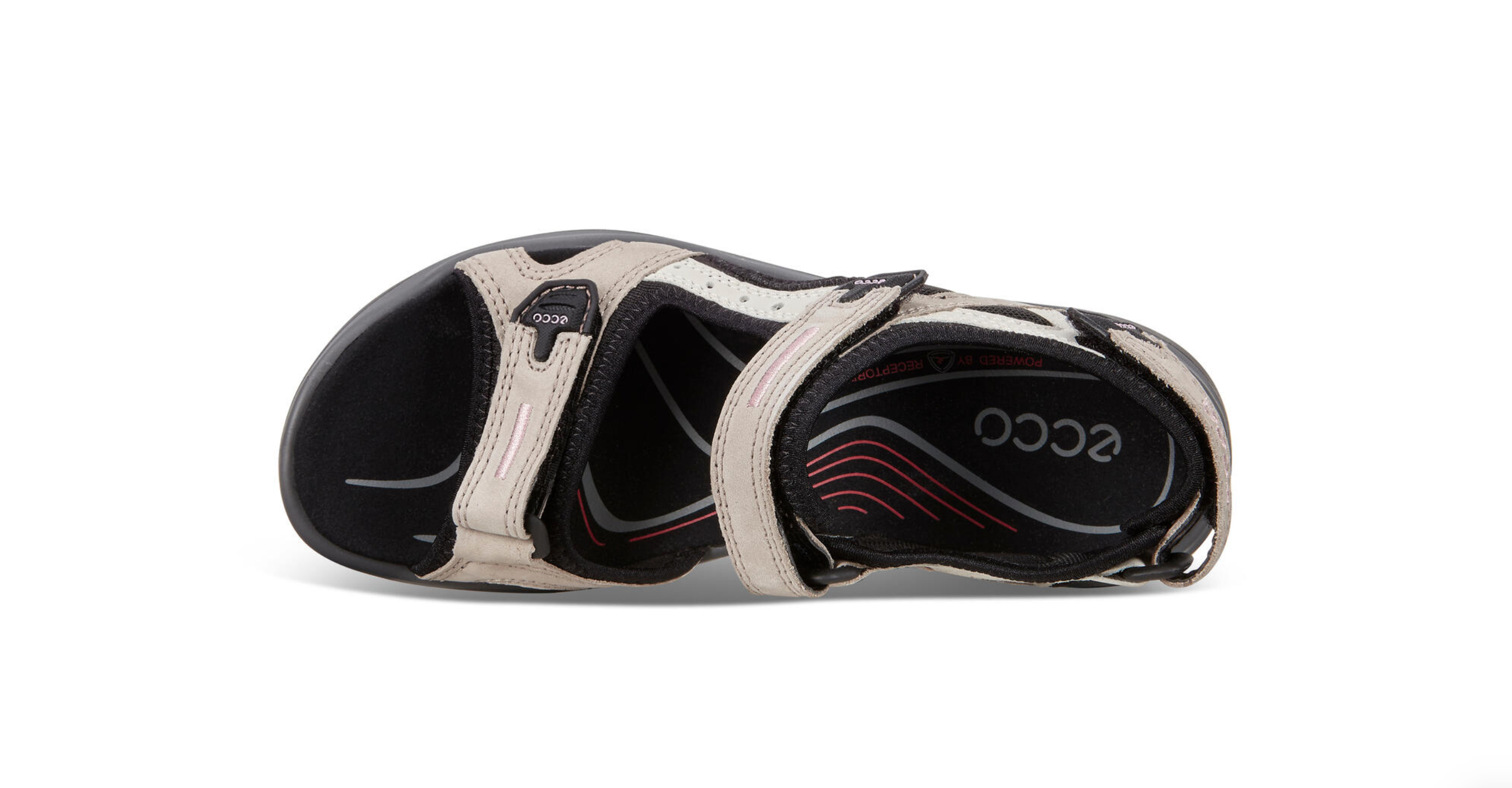 Ecco receptor womens olive sales